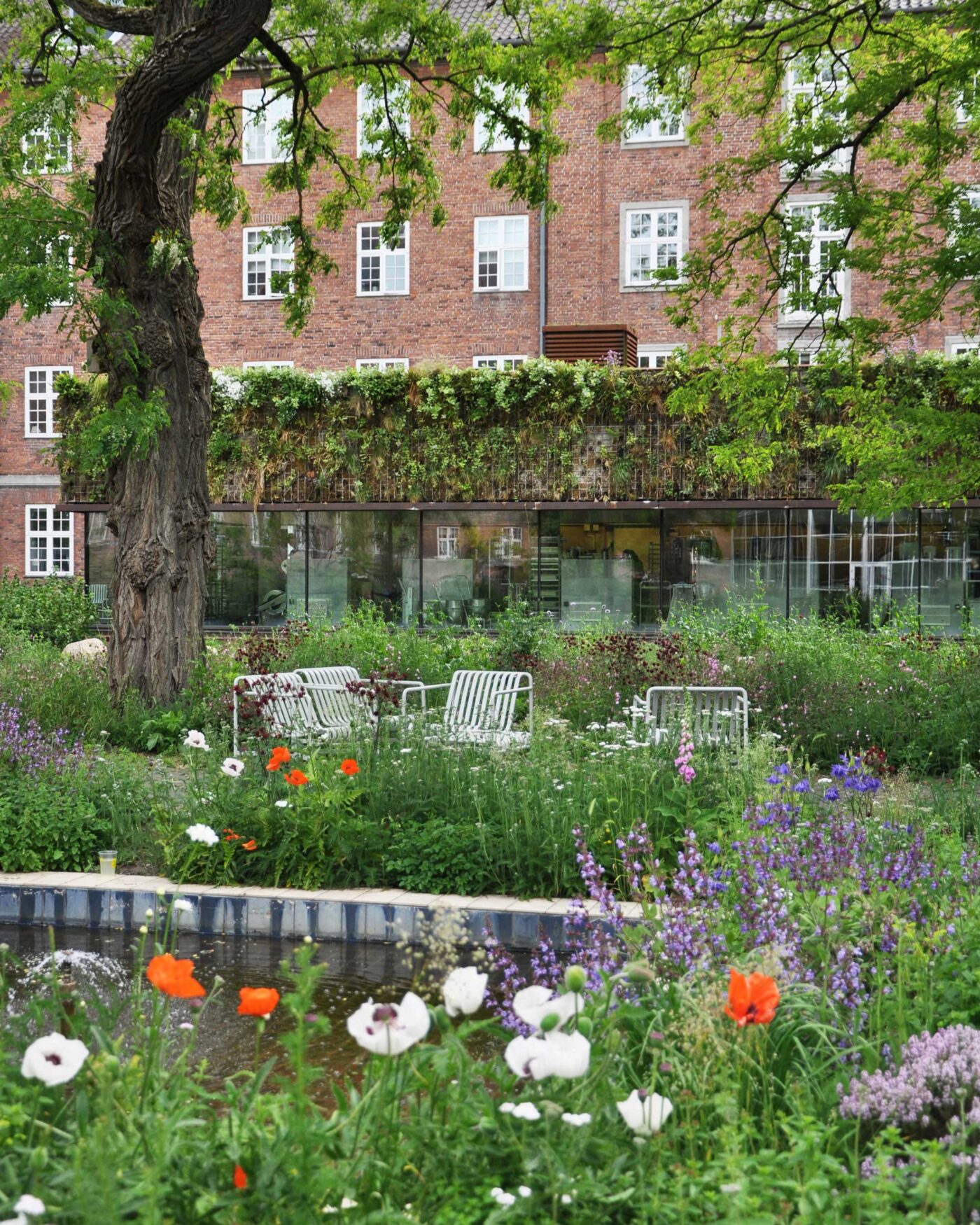 Orangeriet i De Gamles By er tegnet af STED og indeholder mange små hyggelige zoner fyldt med blomster og grønt
